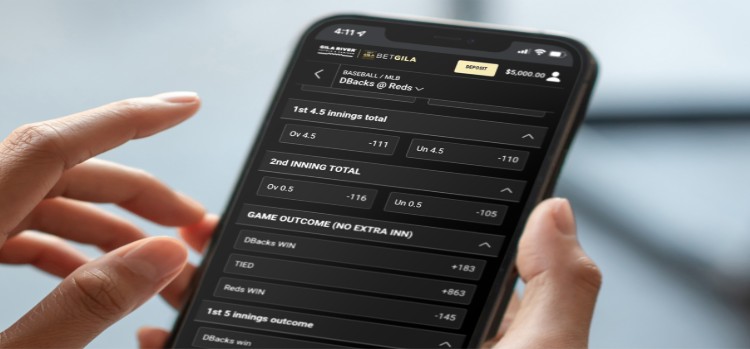 Benefits of Using Tamasha Online for Fast Betting Access